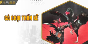 Gà Chọi Thần Kê - Tìm Hiểu Các Giống Gà Thần Kê Nổi Tiếng