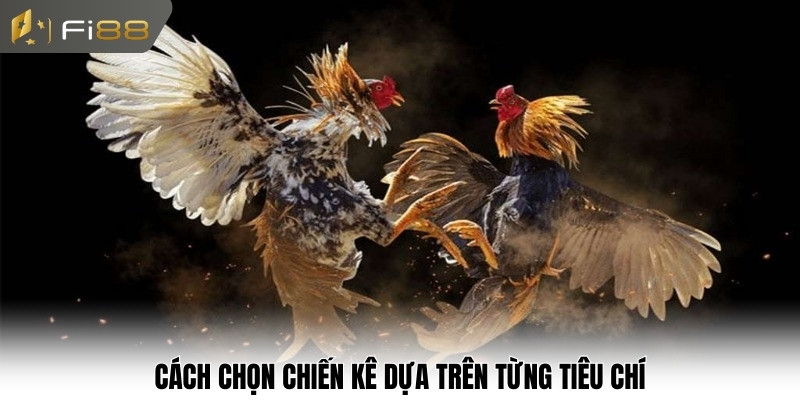 Cách chọn chiến kê dựa trên từng tiêu chí