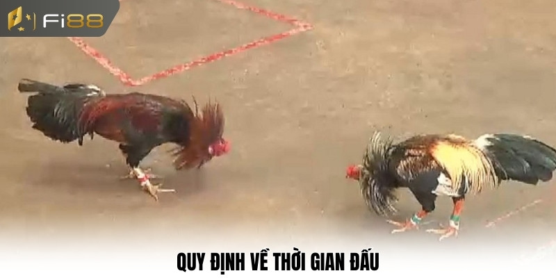 Quy định về thời gian đấu