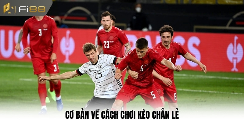 Cơ bản về cách chơi kèo chẵn lẻ
