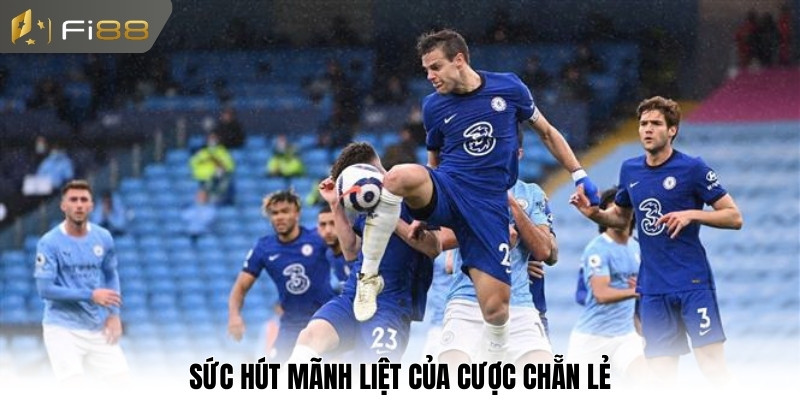 Sức hút mãnh liệt của cược chẵn lẻ