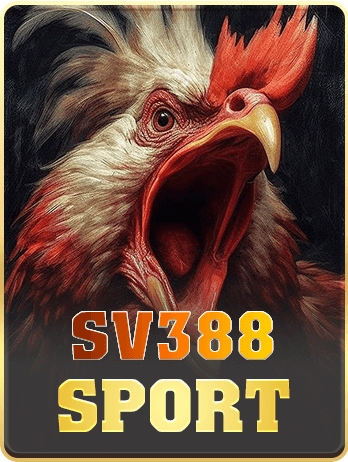 14-sv388-sport